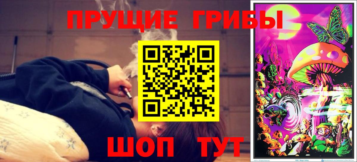 Псилоцибиновые грибы прущие грибы  Вход с VPN  что такое наркотик  Новомосковск 